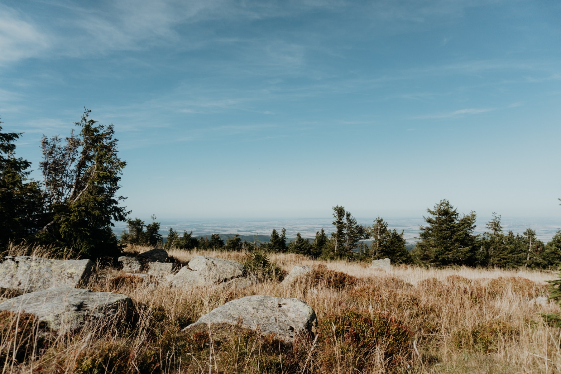 harz hotel hahnenklee